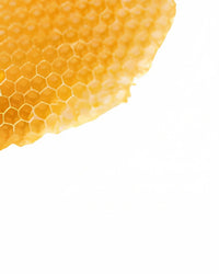 Organic Beeswax